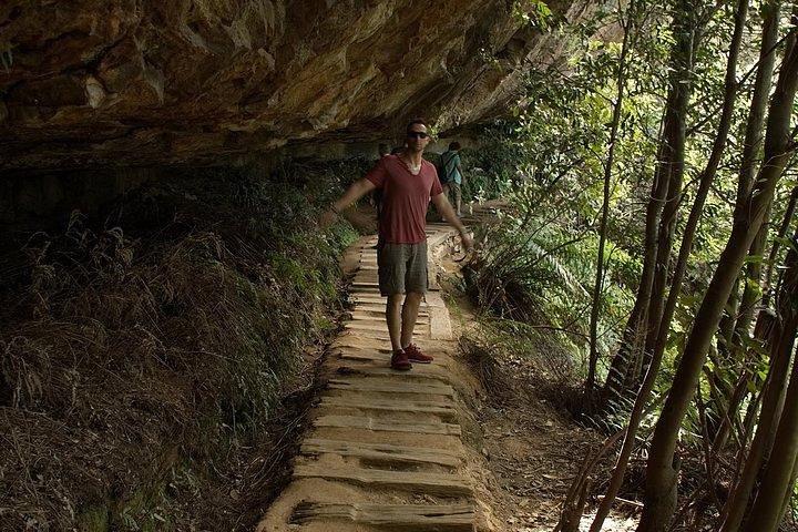 Inside the Greater Blue Mountains World Heritage - A Wildlife Safari Overnight