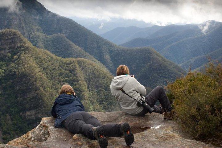 Inside the Greater Blue Mountains World Heritage - A Wildlife Safari Overnight
