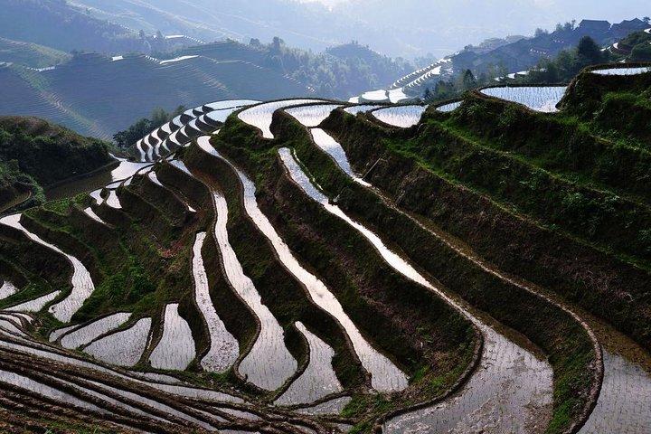 2-Day Guilin Highlights: Longji Terraces and Li River Cruise Tour