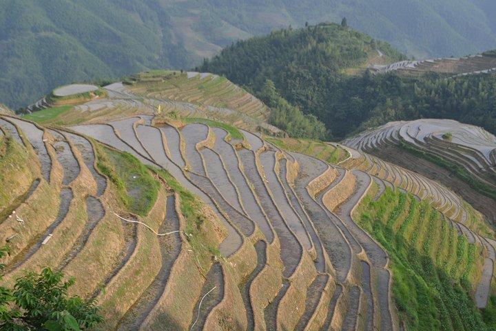 2-Day Guilin Highlights: Longji Terraces and Li River Cruise Tour