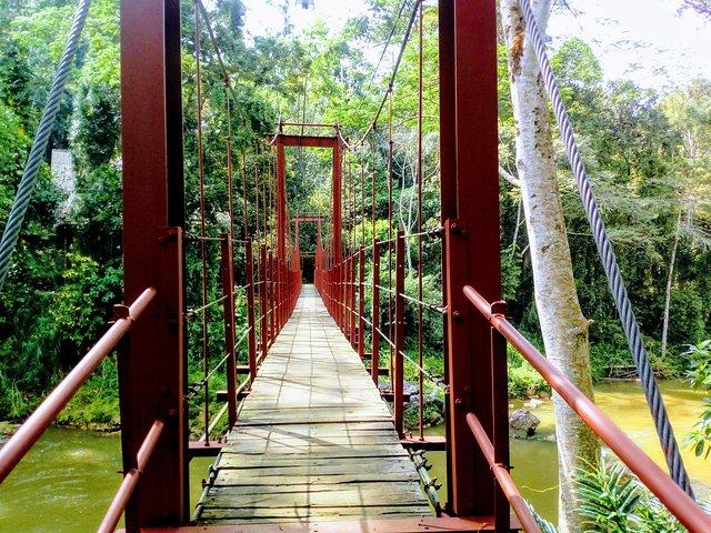 Sinharaja Rainforest Tour - Hotel Pick-up and Transfers Including