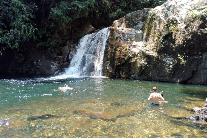 Sinharaja Rainforest Tour - Hotel Pick-up and Transfers Including