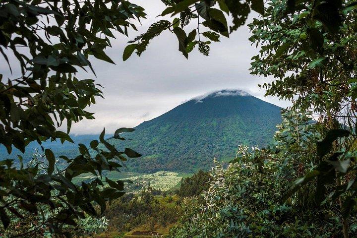 1 Day Dian Fossey Tomb Hike