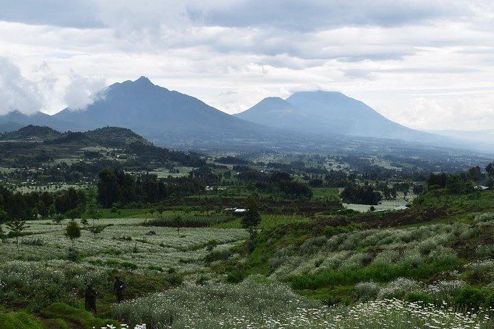 1 Day Dian Fossey Tomb Hike