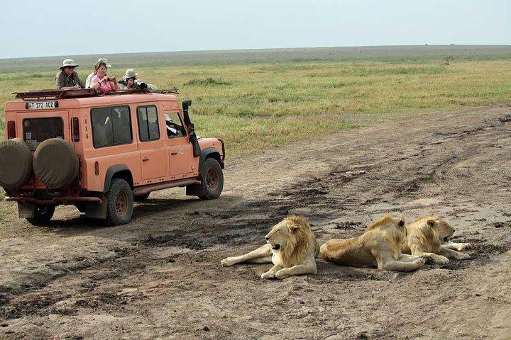 6 Day Luxury Lodge Wildlife Safari :Northern Tanzania on 4x4 Jeep