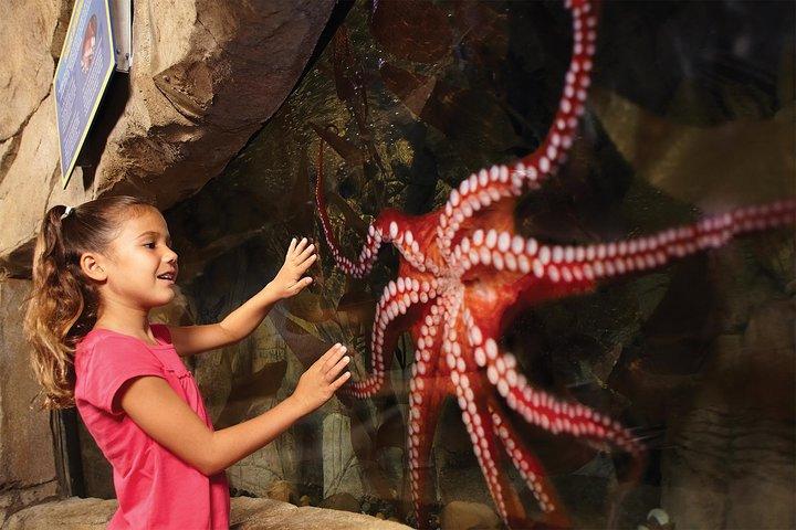 SEA LIFE Aquarium San Antonio Admission Ticket