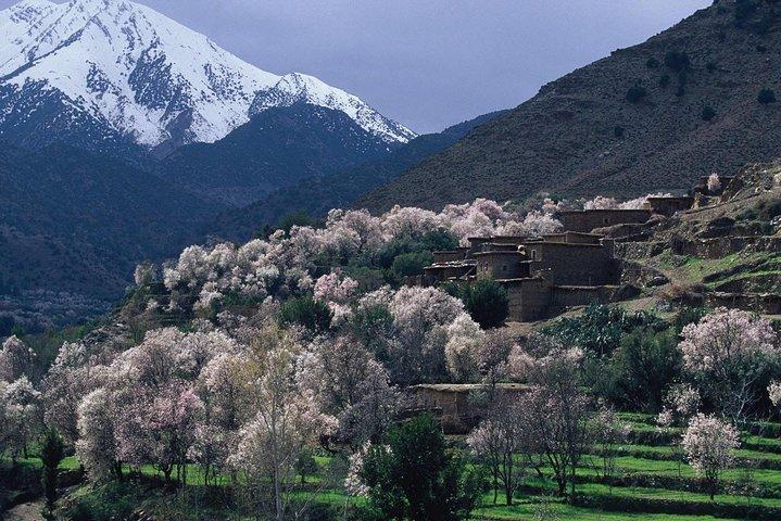 Atlas Mts. & Berber Village Day Trip from Marrakech (Min 2 p)