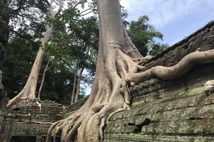 Siem Reap Full Day Angkor Wat Tour Small Group