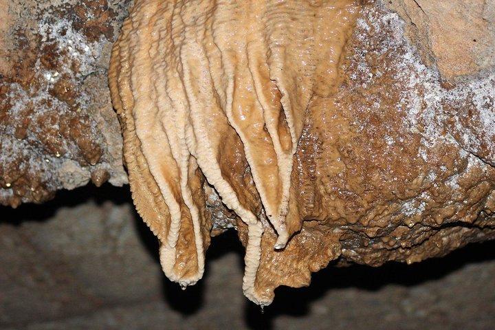 Belize Cave Tubing and Zipline Jungle Adventure with Lunch