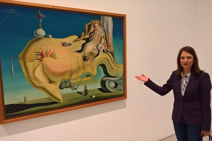 Reina Sofia Museum Private Tour