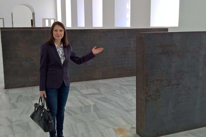 Reina Sofia Museum Private Tour