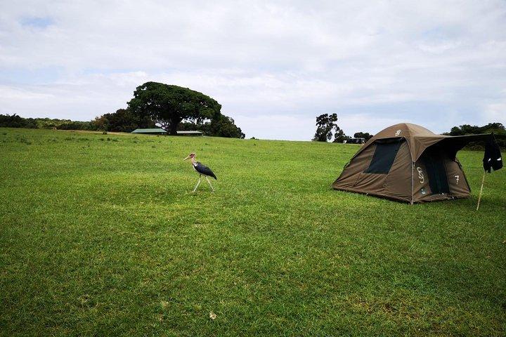2 days Safari to Tarangire and Ngorongoro crater