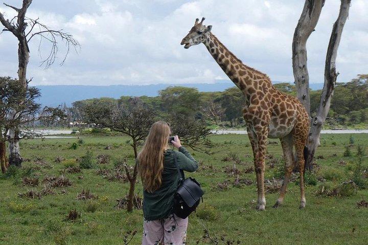 3 Days Nairobi National Park,Lake Naivasha &Lake Nakuru National Park