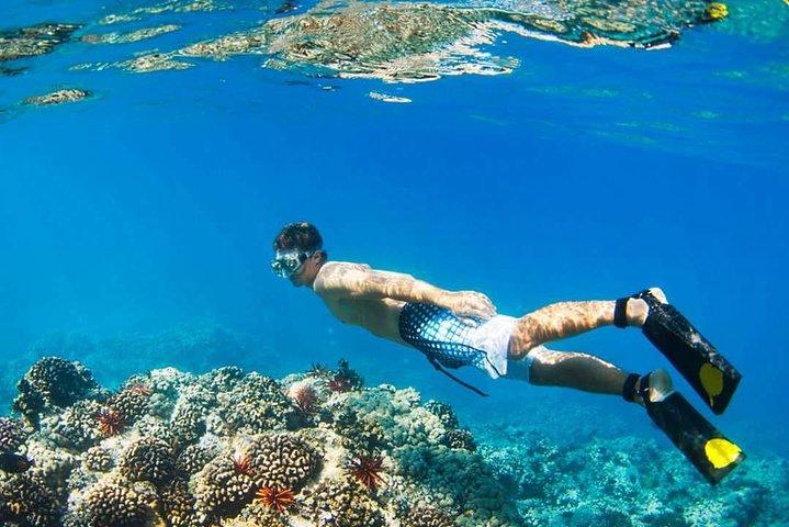 Island Hopping Tour (2 Island) From Kota Kinabalu