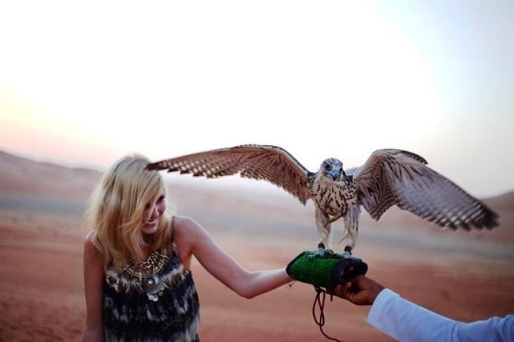 Abu Dhabi Desert Safari 4x4, BBQ Dinner, Camel Ride