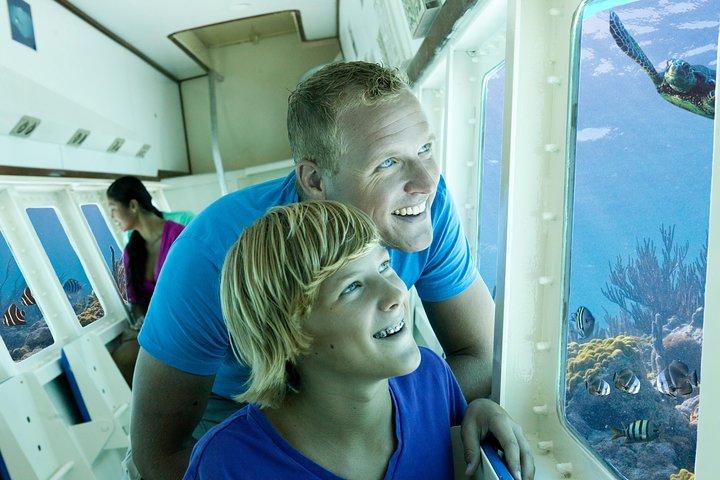 Aruba Semi-Submarine Cruise from Palm Beach