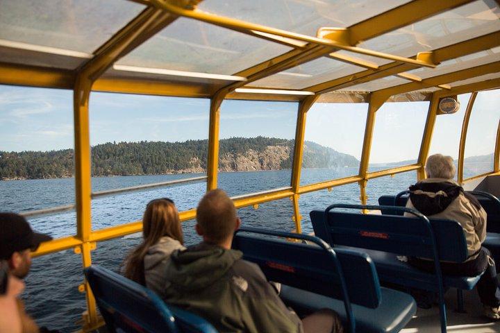 Vancouver Whale Watch Zodiac Tour with Guide
