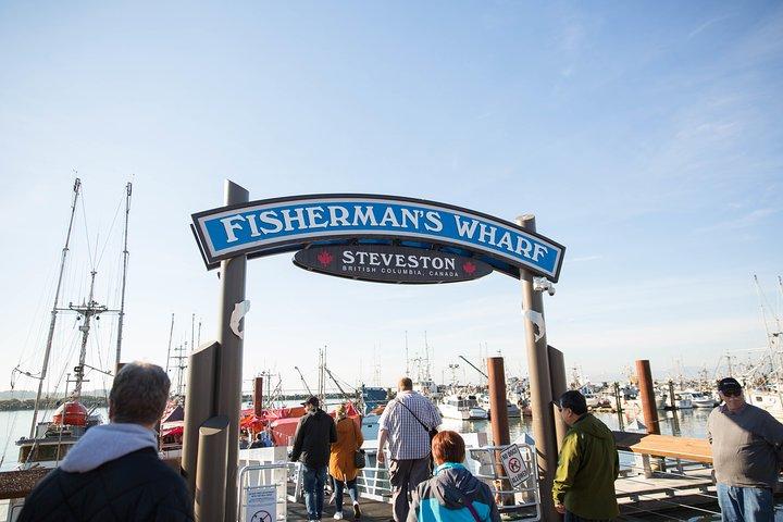 Vancouver Whale Watch Zodiac Tour with Guide