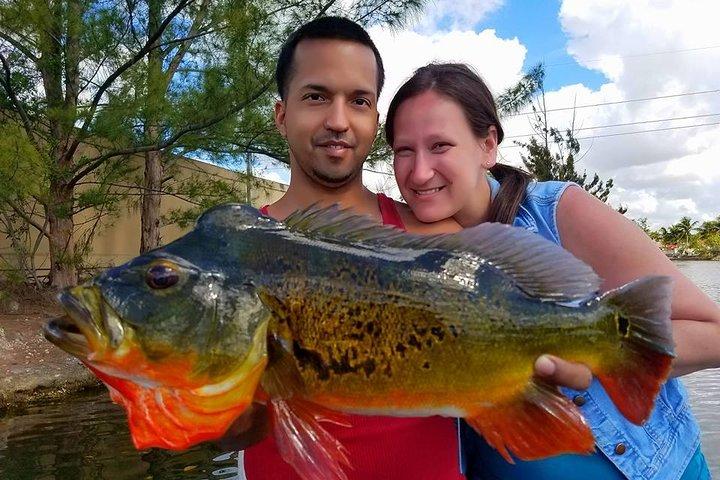 Peacock Bass Fishing Trips Near Miami Florida