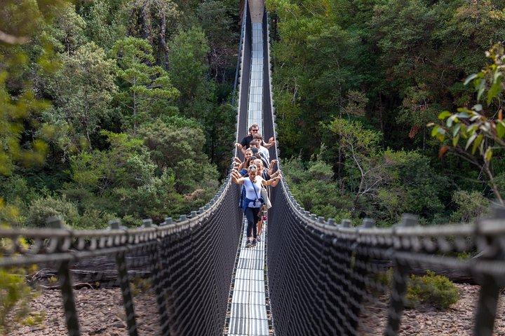 Hobart: Tahune Airwalk, Hastings Caves & Thermal Springs Pool