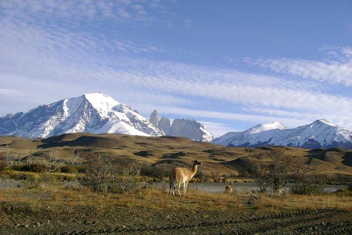 Puerto Natales: Full day tour Torres del Paine