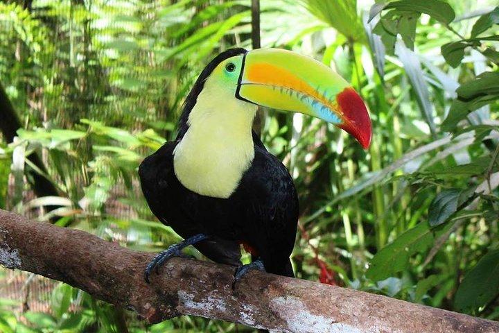 Combo Tour Cave Tubing and Xunantunich Mayan Site - fun day in Belize