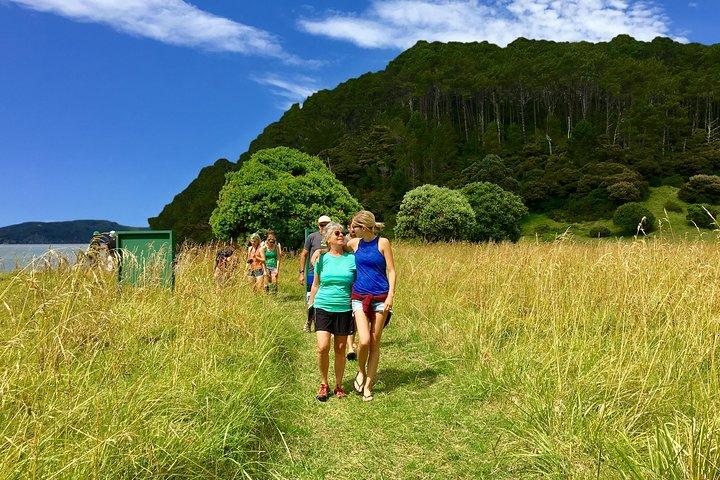 3 Hours // Hole in the Rock Cruise & Bay of Islands Tour