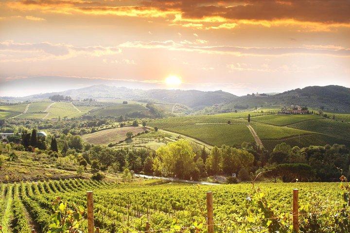 Private Pisa, Pasta and Chianti Lovers Wine Experience from La Spezia