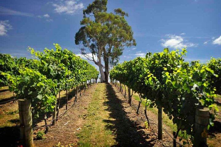 Small Group Adelaide Hills and Hahndorf Hideaway Tour from Adelaide