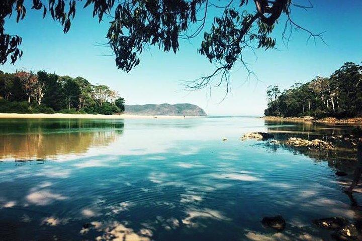 SHORE EXCURSION - Full-Day Guided Bruny Island Tour from Hobart