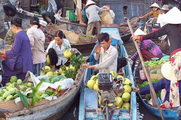 Mekong Delta deluxe group day trip