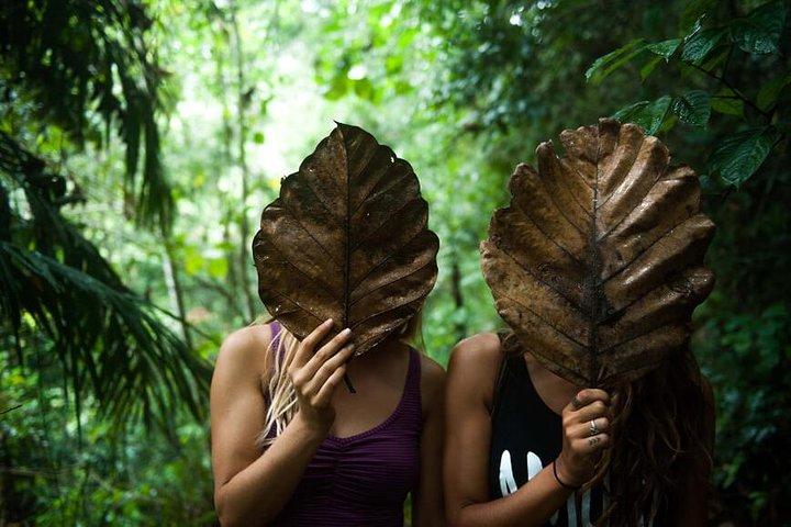 6-Day Authentic Experiences in Sri Lanka