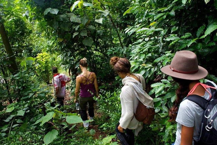 6-Day Authentic Experiences in Sri Lanka