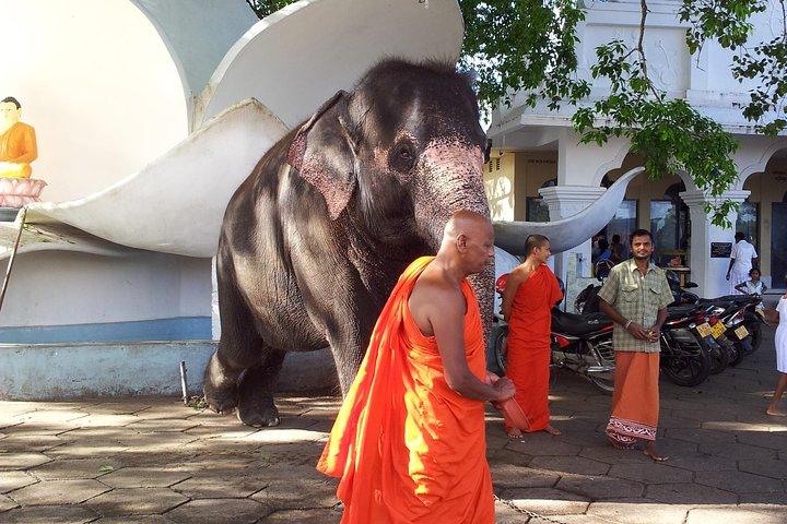 Galle Day Tour