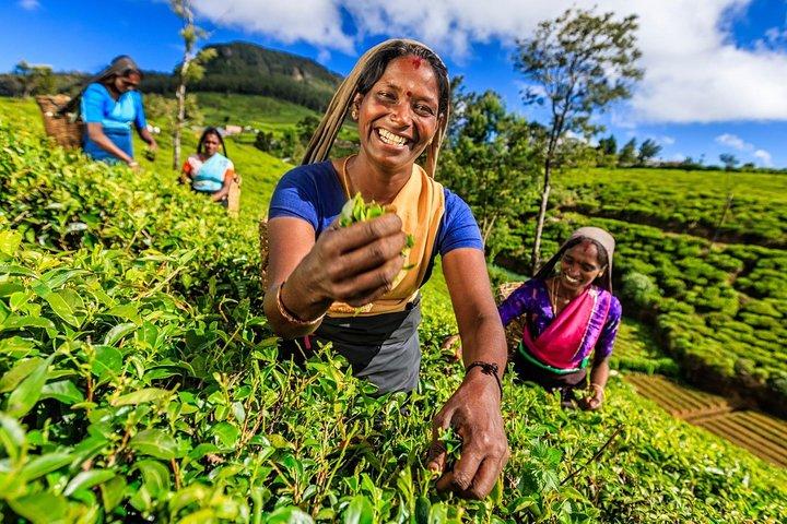 6-Day Central Highlands UNESCO World Heritage Adventure Tour