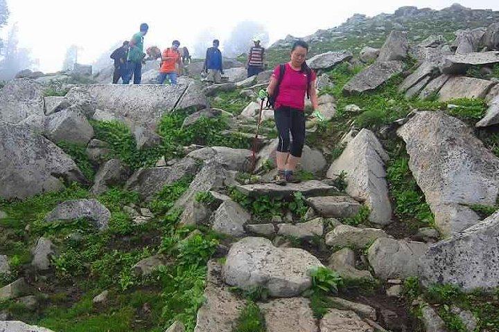 Hiking Day Tour to Triund from Dharamshala