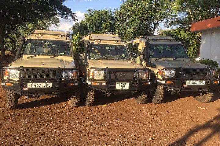 5 Days Safari: Tarangire, Serengeti Plains and Ngorogoro Crater