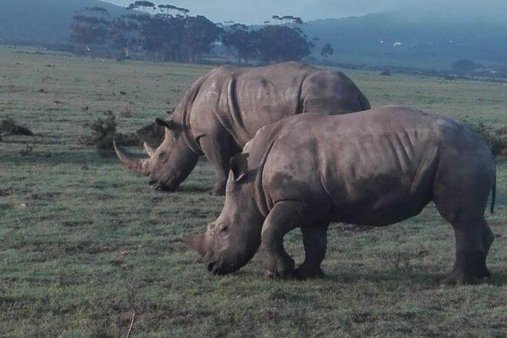4 Day Garden Route Adventure & Safari