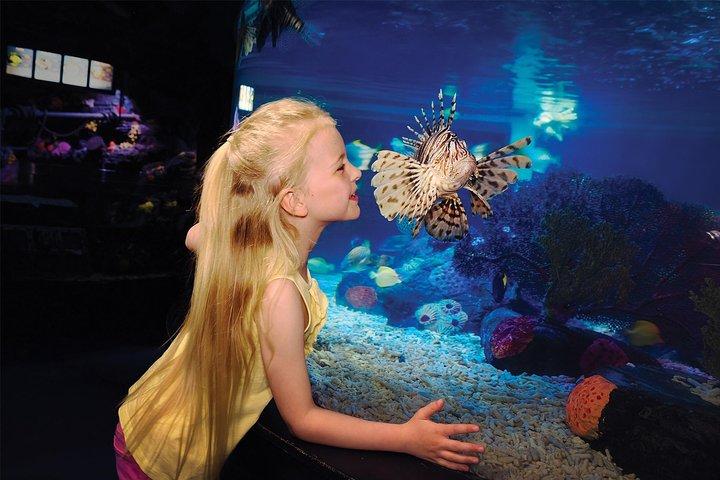 SEA LIFE Aquarium San Antonio Admission Ticket