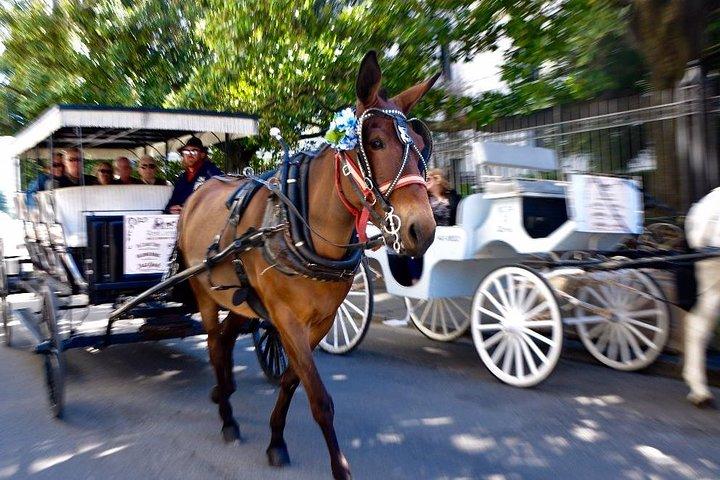New Orleans French Quarter and More Carriage Ride