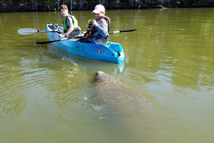 Manatee and Dolphin Kayaking | Wildlife Refuge (Titusville)