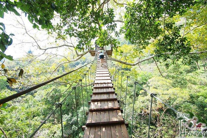 Flying Hanuman Zipline Adventure – Soar Through the Jungle!