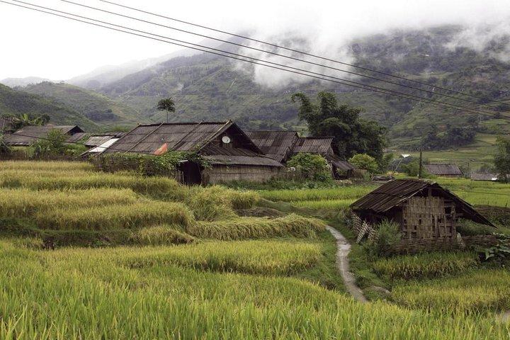2-Days 3-Nights Sapa Trek with Night Train from Hanoi