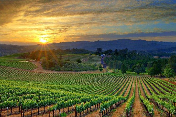 Lebanon Wine Tasting Tour From Beirut (Entrance Fee Included)