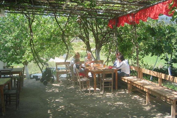 Authentic Bodrum Village Life & Rug Weaving Experience