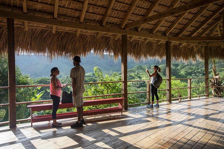Dual Zipline Side-by-Side Adventure in Punta Cana