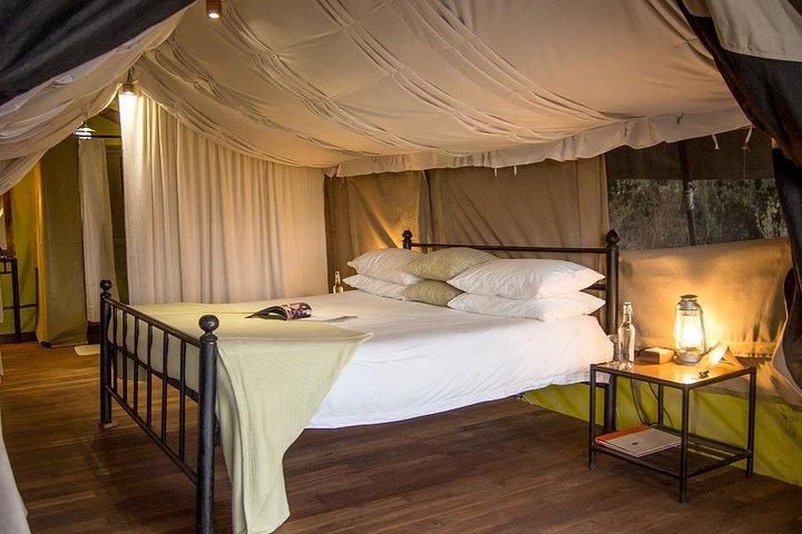 5 Days Tanzania Join Group Safari from Arusha