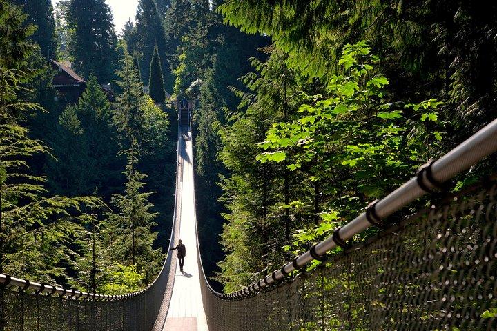 Vancouver City Tour plus Granville Island & Capilano Bridge