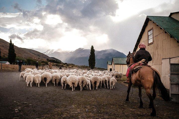 Patagonian Ranch: Nibepo Aike Adventure with Horseback Riding