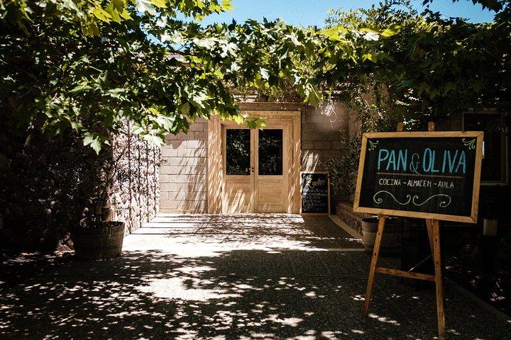 Maipú Wine-Tasting Tour from Mendoza Including Trapiche Winery